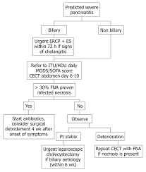 Check spelling or type a new query. Acute Pancreatitis At The Beginning Of The 21st Century The State Of The Art