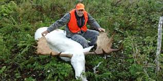 Most recently in the shl with malmö redhawks. Nova Scotia S Sacred Albino Moose Killed By Visiting Hunters