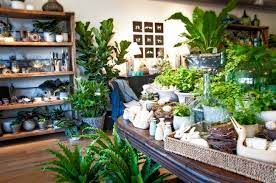 We did not find results for: Mahonia A One Of A Kind Home Store And Floral Design Studio Opens In Louisville S Nulu Neighborhood