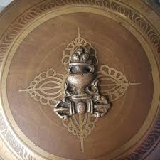 Image result for Triumfetta amuletum