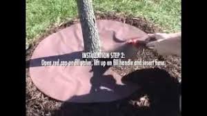 Industrial strength and easy to use Treegator Jr Pro Slow Release Watering Bag For Trees Shrubs Youtube