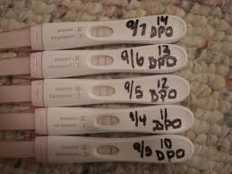 If positive, you may continue progesterone (if taking this) and will be monitored. Pregnancy Test 11 Days After Iui Pregnancy Test