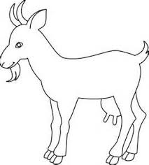 Outline Drawing Of Domestic Animals Yahoo Image Search Results Animals Drawing Images Animal Outline Outline Drawings