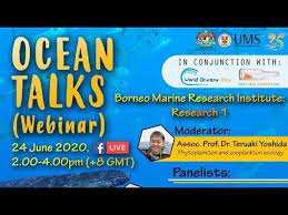 Lim does research in fish behaviour and aquaculture nutrition. Ocean Talks 2 Webinar Borneo Marine Research Institute Research Siri 1 Youtube