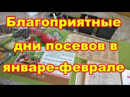 когда сажать помидоры на рассаду по лунному календарю 2019 Posevy Na Rassadu Po Lunnomu Kalendaryu Na Yanvar Fevral 2019 Goda Delaem S Umom Youtube Sad Ogorodnichestvo Ovoshnye Gryadki