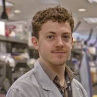 90+ "Sebben" profiles