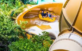 Where there's hunger, there's thirst too. Aquaman Fever Cometh Seven Must Try Water Rides At Desaru Coast Adventure Waterpark Travel News Top Stories The Straits Times