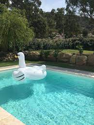 des bouees sont a votre disposition a la reception pour profiter pleinement de votre piscine bouee cygne pool pisci photo piscine piscine piscine municipale