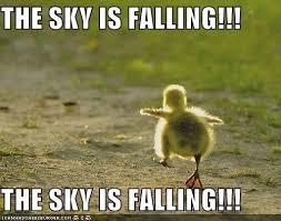 The Sky Is Falling Funny Animals With Captions Funny Animal Quotes Funny Animals