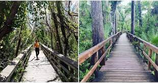 11 Perfect Fall Hikes You Must Do In South Florida Florida Travel Hiking In Florida Florida Trail