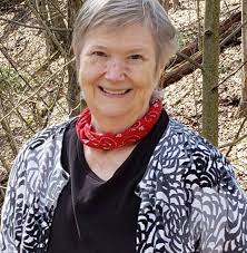 Anyone else noticing an inordinate amount of bees (not sure what kind) this  year? They are around my soil, and seem to be flying all around my yard not  just near flowers.