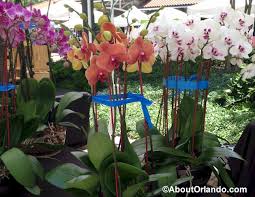 28,847 likes · 99 talking about this · 36,948 were here. Winter Garden Farmers Market Saturday Markets