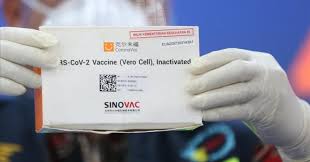 Inactivated virus/produced in vero cells: Ph Grants Eua To China S Sinovac Covid 19 Vaccine Philippine News Agency