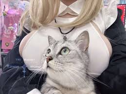 cosplay】[米饼Misa]爱发电图(上)