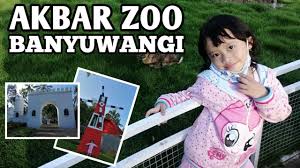 Gratis untuk komersial tidak perlu kredit bebas hak cipta. Akbar Zoo Banyuwangi Destinasi Wisata Baru Di Banyuwangi Kebun Binatang Youtube