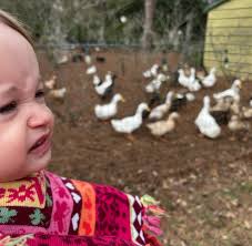 Derek Heffelfinger (@derek_heff) • Instagram photos and videos