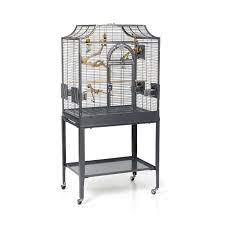 The birds are healthier and guaranteed, and not. Montana Madeira I Bird Cage Antik Antique The Perfect Bird Home Parrotshop