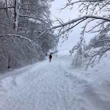 A stockholm landmark, hammarbybacken is a popular weekend destination for many stockholmers during the winter months. Photos At Hammarbybacken Bike Park Bike Trail In Bjorkhagen