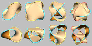 Image result for seifert surface