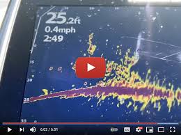 Hummminbird mega live imaging model: Homeless State Record Fishing Rod Lightning Strike Bottom Bouncer Tips Target Walleye