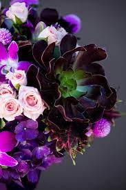 Maybe you would like to learn more about one of these? Check Out This Gorgeous Dark Purple Bridal Bouquet