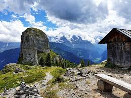 The historic schynige platte railway runs across the breitlauenen alp to the schynige platte. Schynige Platte Wanderung Schonster Panoramaweg Im Berner Oberland