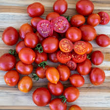 Image result for tomato Datterino