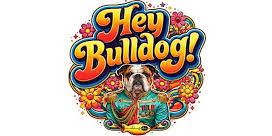 Hey Bulldog - An Evening Of Songs From The Beatles