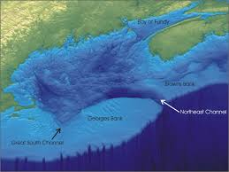 Tsunami Maines Geologic Hazards Maine Geological Survey
