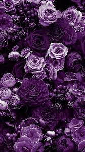 Herrliche Tief Lila Bluten In 2020 Purple Flowers Wallpaper Purple Flowers Purple Flowers Garden