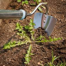 Maybe you would like to learn more about one of these? 7 Types Of Common Weeds Found In Gardens Horticulture