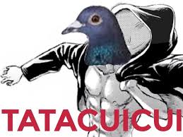 Mikasa ackerman is a member of the survey corps and the top ranked member of the 104th training corps. Nico Nico Robin On Twitter That Time I Got Reincarnated As A Bird By Eren Yeager Aot139spoilers