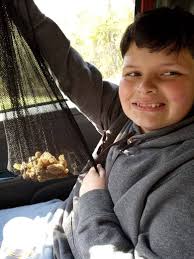 I ran across these beauties while I was out today!