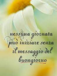 We did not find results for: Buongiorno Con I Fiori Le Immagini Piu Carine Top10immagini It