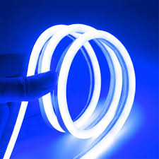 Amazon Com Jinhody Led Neon Flex Strip Lights 12v 6 5ft Rope Light Flexible Waterproof With Dc Power Adaptor For Christmas Lighting Decor Indoor Outdoor Home Blue Garden Outdoor