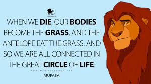 The circle of life quote. Mufasa Quotes Magicalquote