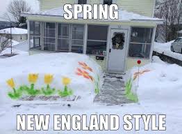 Funny Boston New Englan Humor D Massachusetts Memes Facebook Winter Humor Snow Humor Cabin Fever