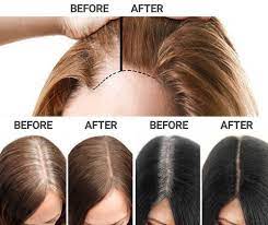 Sevich Hairline Root Touch Up Powder Glamtouche Brown Hair Powder Hairline Roots Hair
