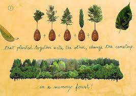 And given how many different types of burials (1) people have organic burial urns. Forget Coffins Organic Burial Pods Will Turn Your Loved Ones Into Trees Burial Pods Green Burial Burial