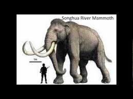 Prehistoric Creature Size Comparison Youtube