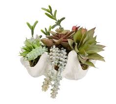Check spelling or type a new query. 29 Clam Shells Decor Ideas Shell Decor Giant Clam Shell Giant Clam
