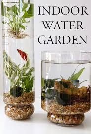 27 Creative Indoor Water Garden Inspirations Indoor Water Garden Plants Indoor Aquaponics