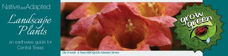 Carnations, daisies, irises, lilies, orchids, roses, sunflowers Watershed Plant Guide Search Form Austintexas Gov
