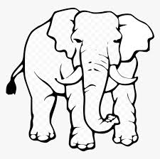 At present, elephants are found in india, africa, sri lanka and other parts… Elephant Black And White Cute Clipart Drawing In Transparent Elephant Coloring Page Hd Png Download Kindpng