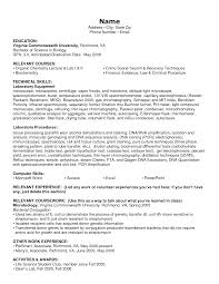 Resume Examples Technical Skills Resume Skills Section Resume Skills Resume Examples