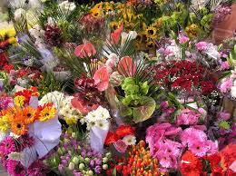 Maybe you would like to learn more about one of these? Wholesale Flowers In Visalia Ca