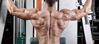 Get over 150+ gym quality exercises with the ultra slim and lightweight bodygym. The V Shape Workout Easygym
