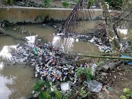 Pembuangan sampah di sungai ini sudah terjadi sejak lama dan sudah di laporkan kepada dinas terkait namun tidak pernah ada tindakan. Belum Ada Penampungan Sampah Sungai Pilihan Pembuangan Limbah Rt Lintas Nusantara