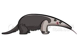 Animal drawing pages at getdrawings. Cartoon Anteater At Http Www Tibilis Com Stock Jungle Art Anteater Stock Illustration