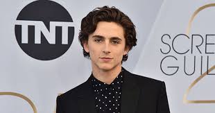 Hair cut quiz for girls. Quiz Which Timothee Chalamet Haircut Are You Purewow